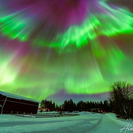 Harjuniemi Villa Kangosjarvi Exteriör bild